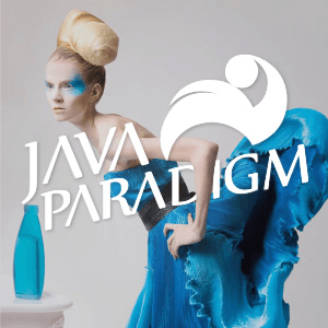 Java Paradigm Branding