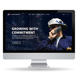 Multinas - Website Design
